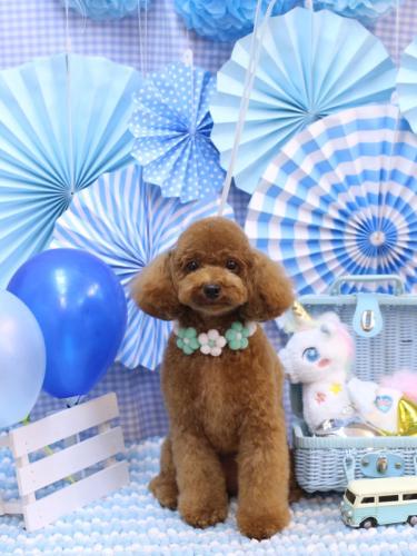 20231124モモちゃん